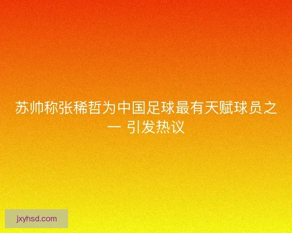 苏帅称张稀哲为中国足球最有天赋球员之一 引发热议